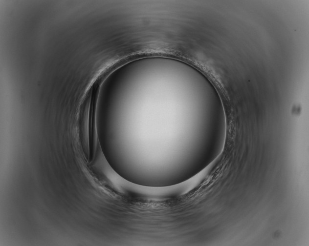 X0000098090108200804041229