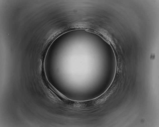 X0000098090109200804041229