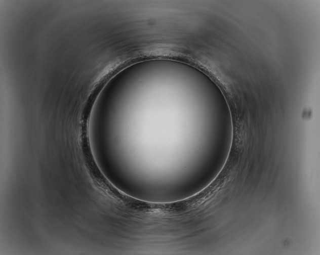 X0000098090111200804041229