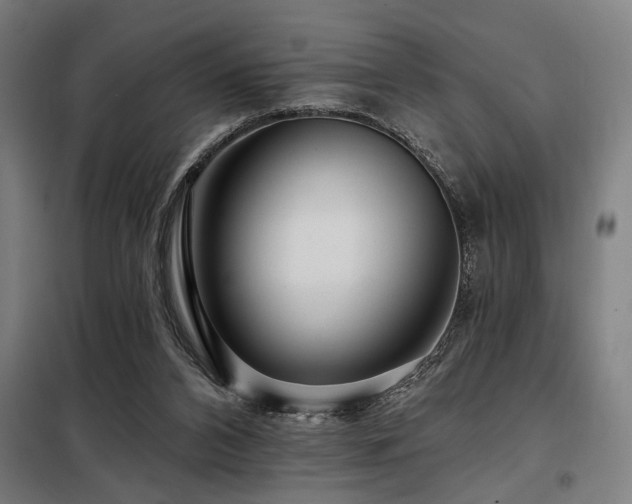 X0000098090112200804041229