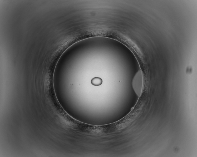 X0000098090113200804041229