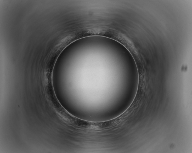 X0000098090114200804041229