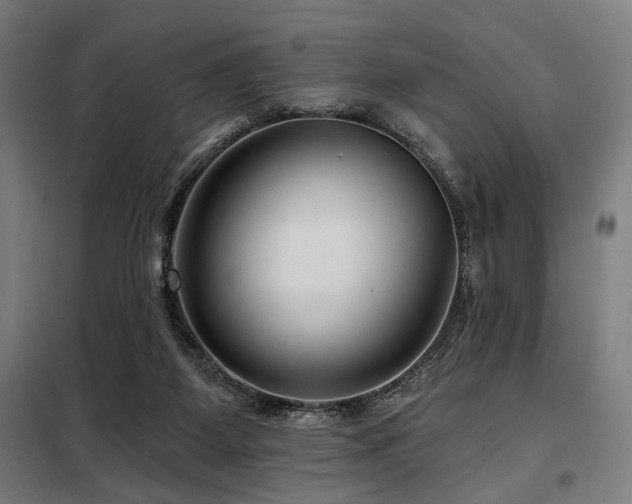 X0000098090115200804041229