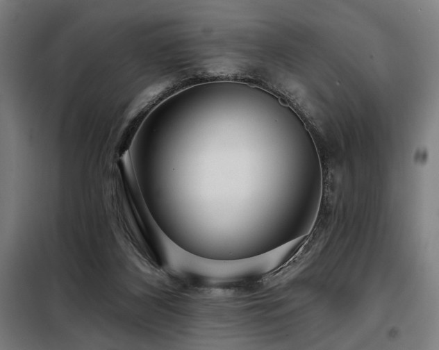 X0000098090116200804041229