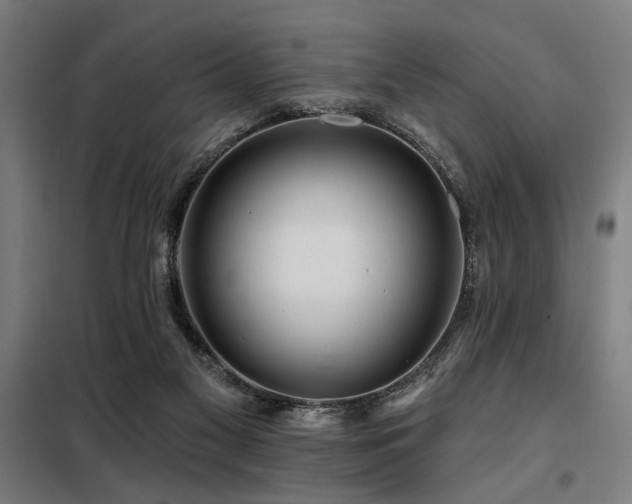 X0000098090117200804041229
