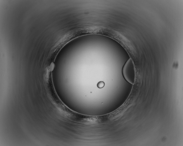 X0000098090118200804041229