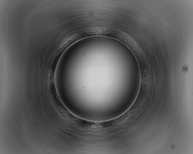 X0000098090119200804041229