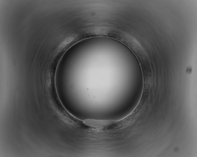 X0000098090120200804041229