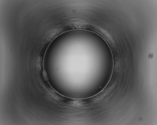 X0000098090121200804041229