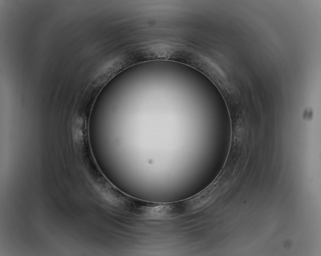 X0000098090122200804041229