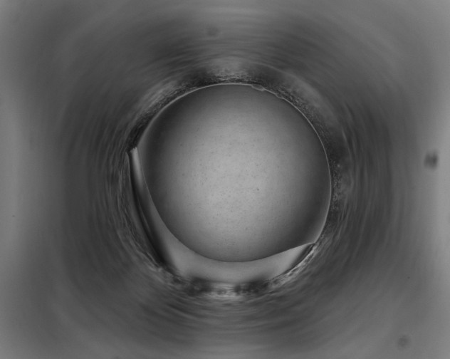 X0000098090124200804041229