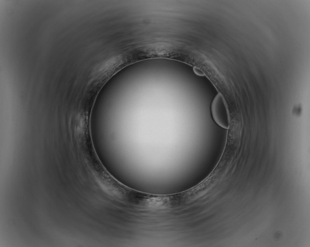 X0000098090126200804041229