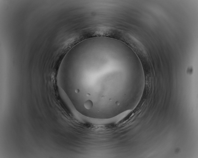 X0000098090127200804041229