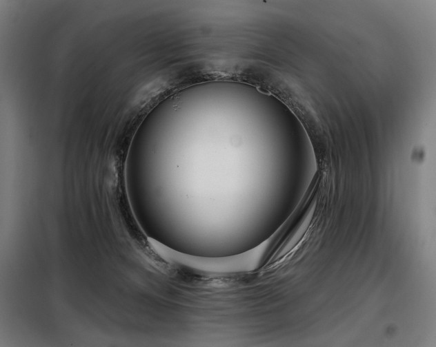 X0000098090128200804041229