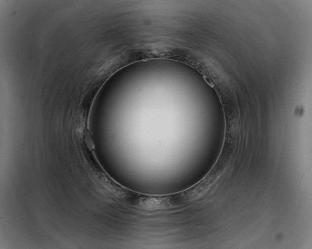 X0000098090129200804041229
