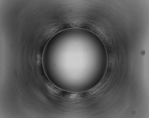 X0000098090130200804041229