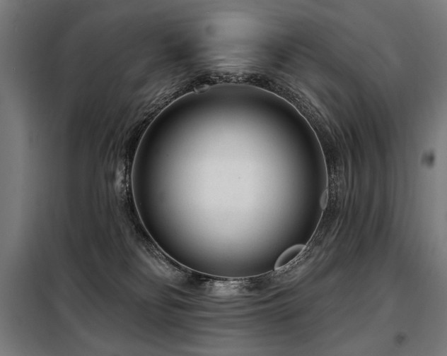 X0000098090134200804041229