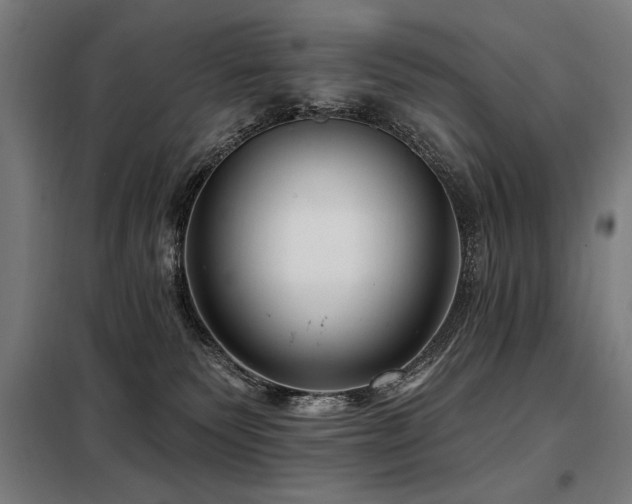 X0000098090135200804041229
