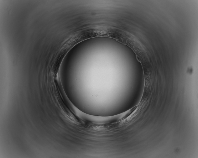 X0000098090136200804041229