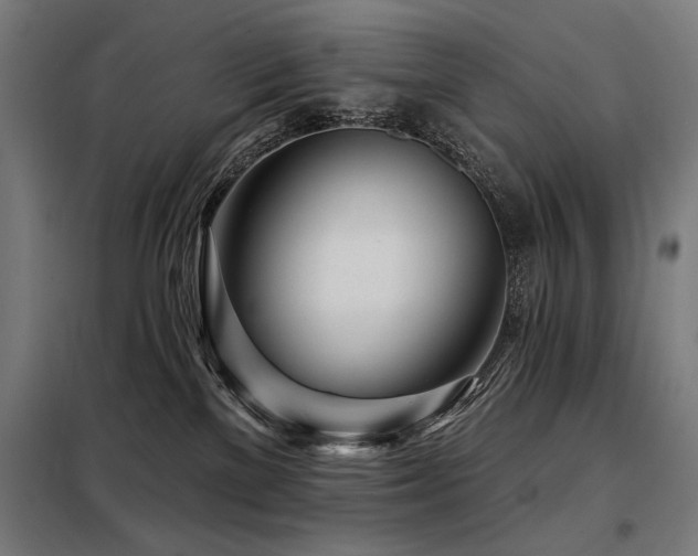 X0000098090137200804041229