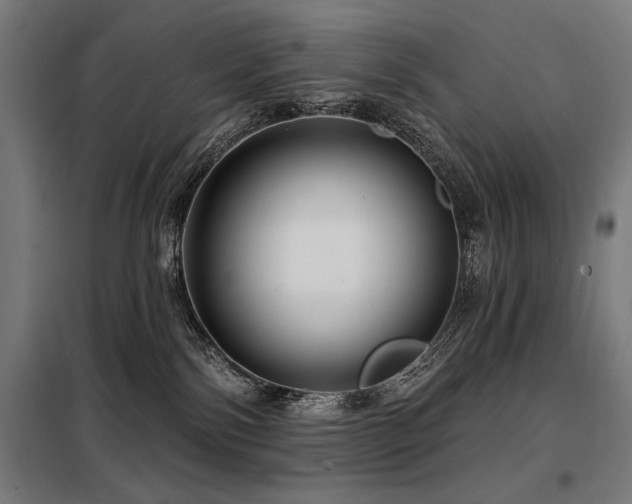 X0000098090138200804041229