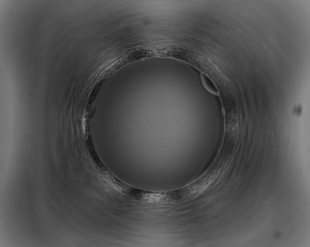 X0000098090139200804041229