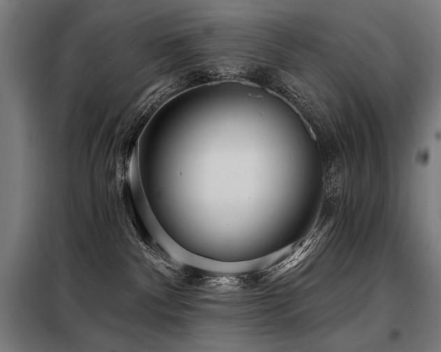 X0000098090140200804041229