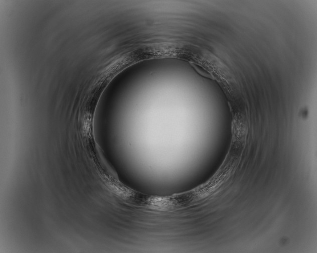 X0000098090141200804041229