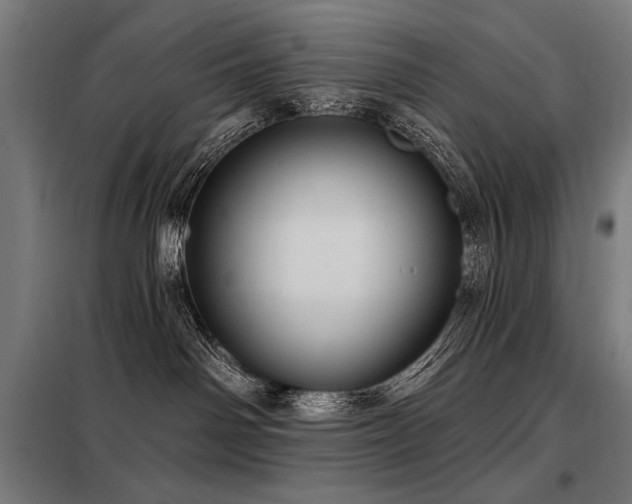 X0000098090142200804041229