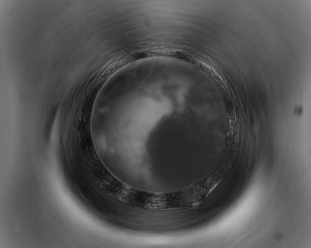 X0000098090143200804041229