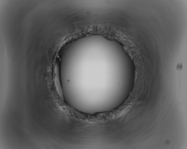 X0000098090144200804041229