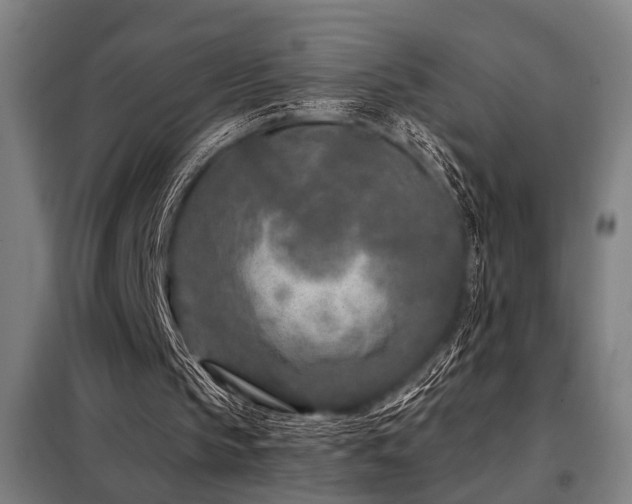 X0000098090145200804041228