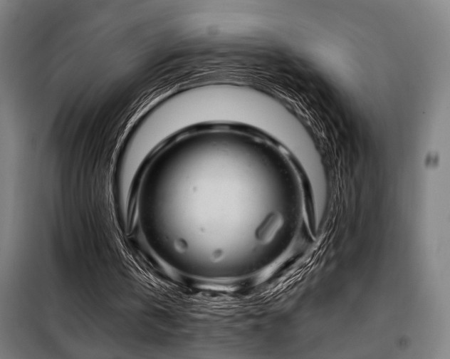 X0000098090146200804041228