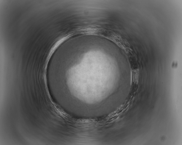X0000098090147200804041228