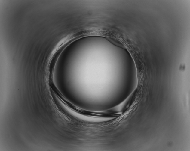 X0000098090150200804041228