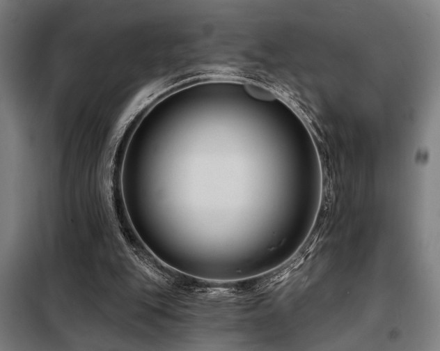 X0000098090151200804041228