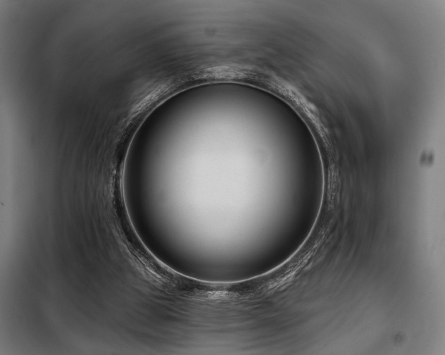 X0000098090153200804041228