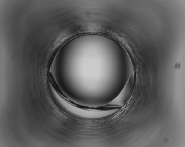 X0000098090154200804041228