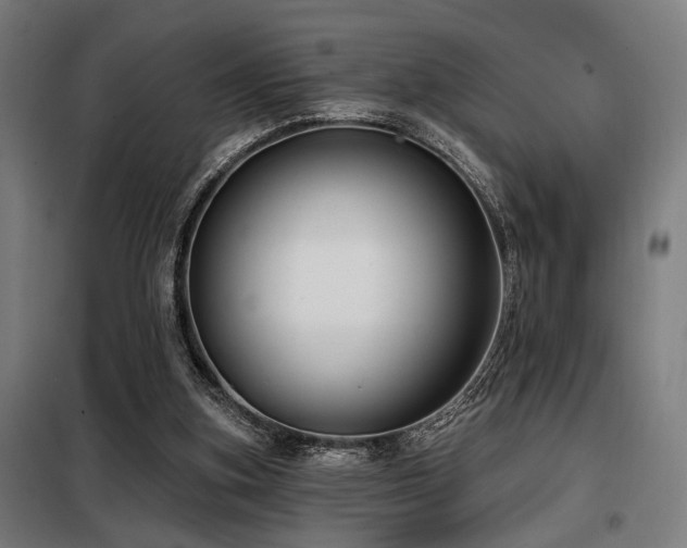 X0000098090155200804041228