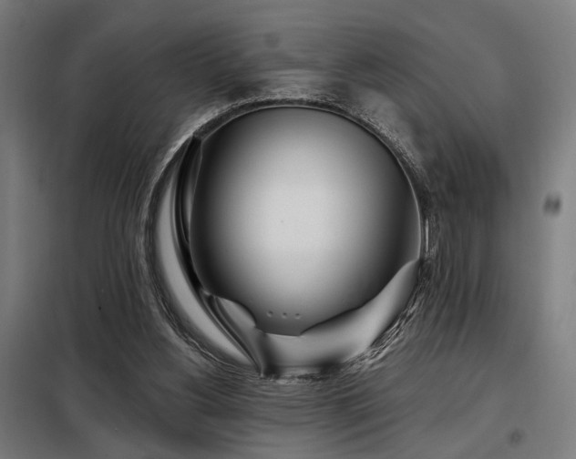 X0000098090156200804041228