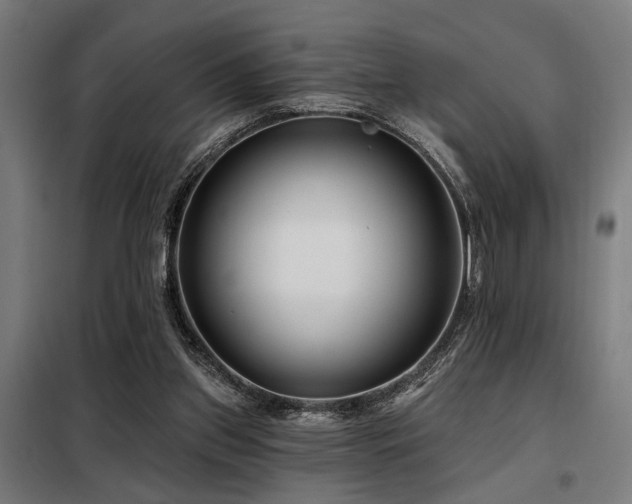 X0000098090157200804041228