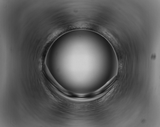 X0000098090158200804041228