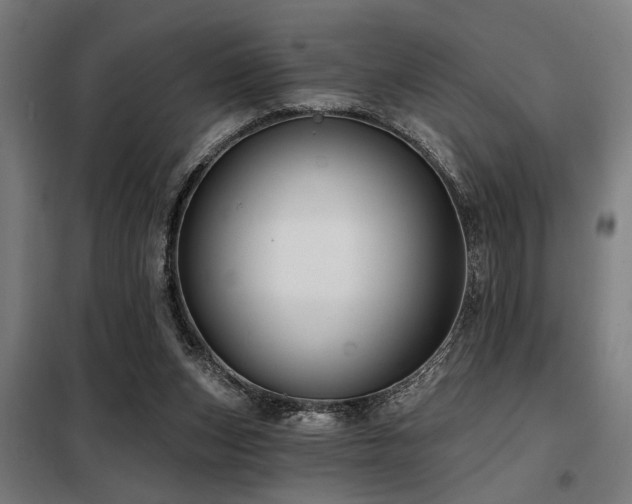 X0000098090159200804041228