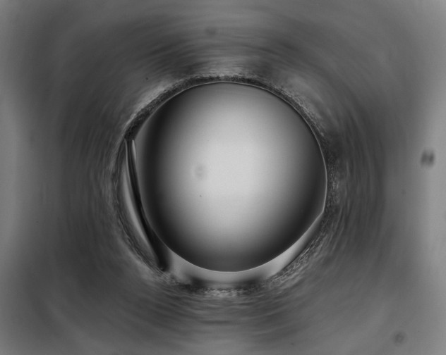 X0000098090160200804041228