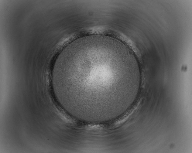 X0000098090161200804041228
