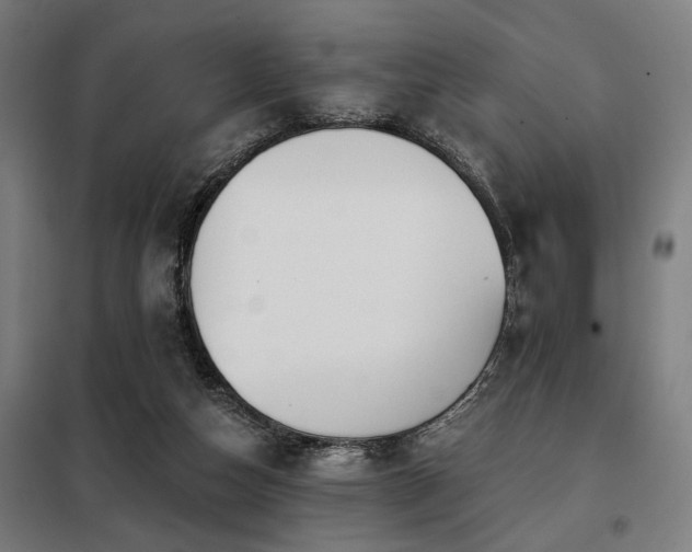 X0000098090162200804041228