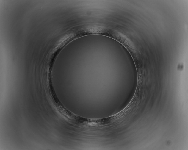X0000098090163200804041228