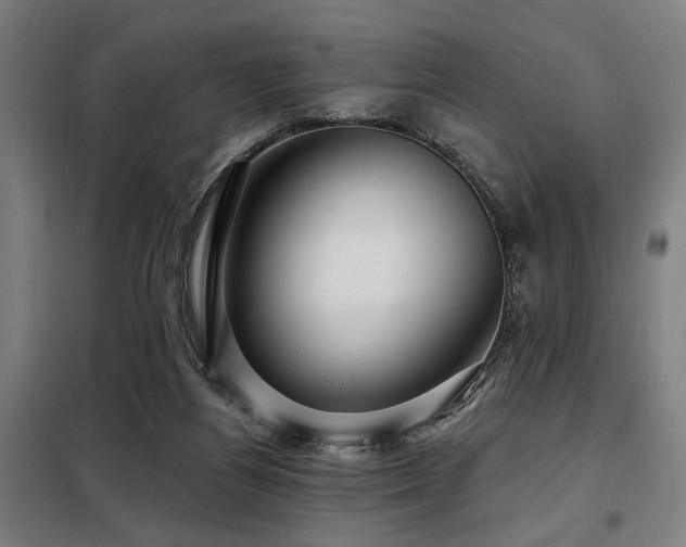 X0000098090164200804041228