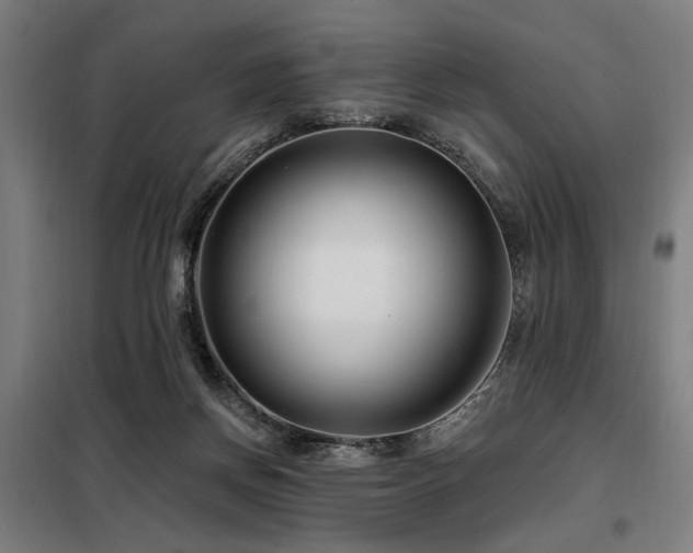 X0000098090166200804041228