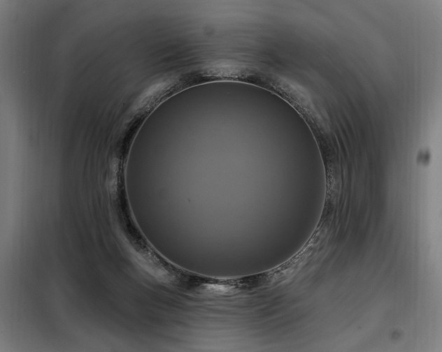 X0000098090167200804041228